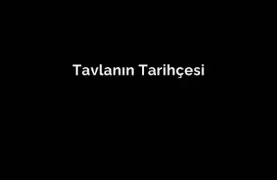 TAVLANIN TARİHÇESİ