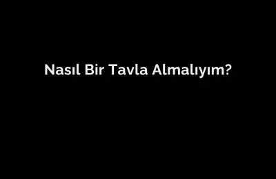 NASIL BİR TAVLA ALMALIYIM?