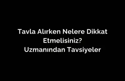 Tavla Alırken Nelere Dikkat Etmelisiniz? Uzmanından Tavsiyeler